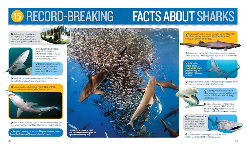 Aperçu du contenu_1,000 Facts About Sharks