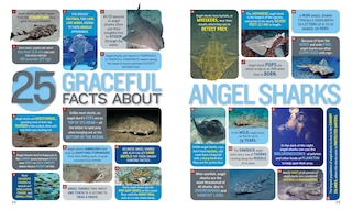 Aperçu du contenu 2_1,000 Facts About Sharks