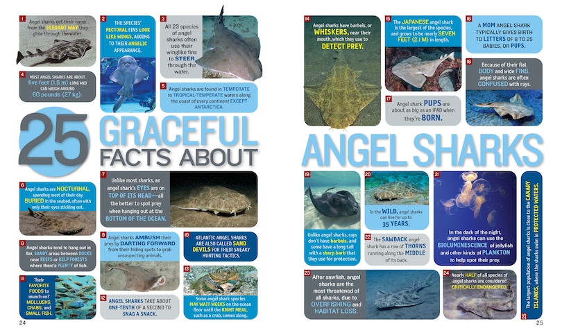 Aperçu du contenu 2_1,000 Facts About Sharks