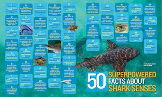 Aperçu du contenu 3_1,000 Facts About Sharks