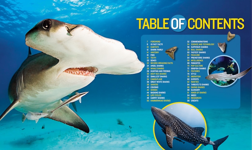 Aperçu du contenu 4_1,000 Facts About Sharks