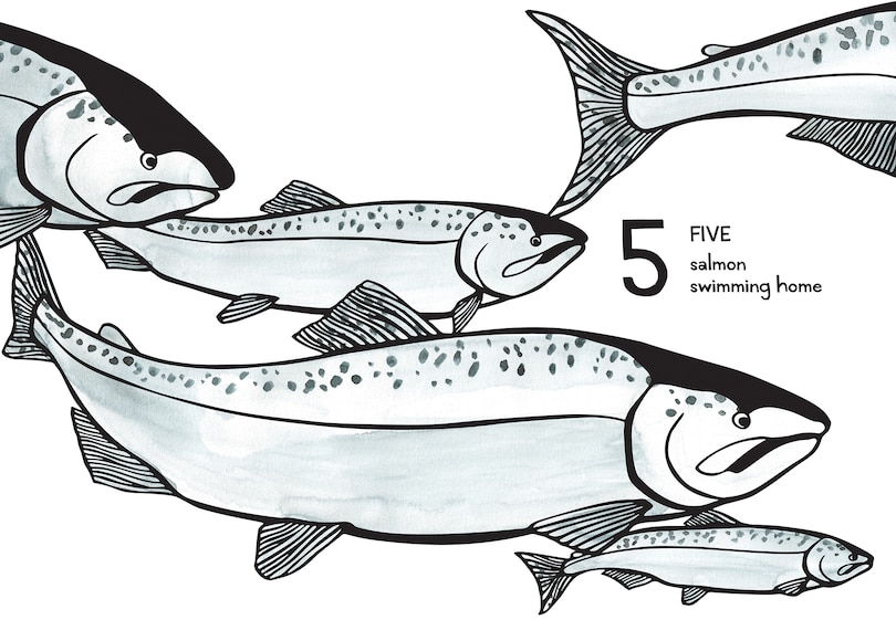 Aper&ccedil;u du contenu 2_1, 2, 3 Salish Sea