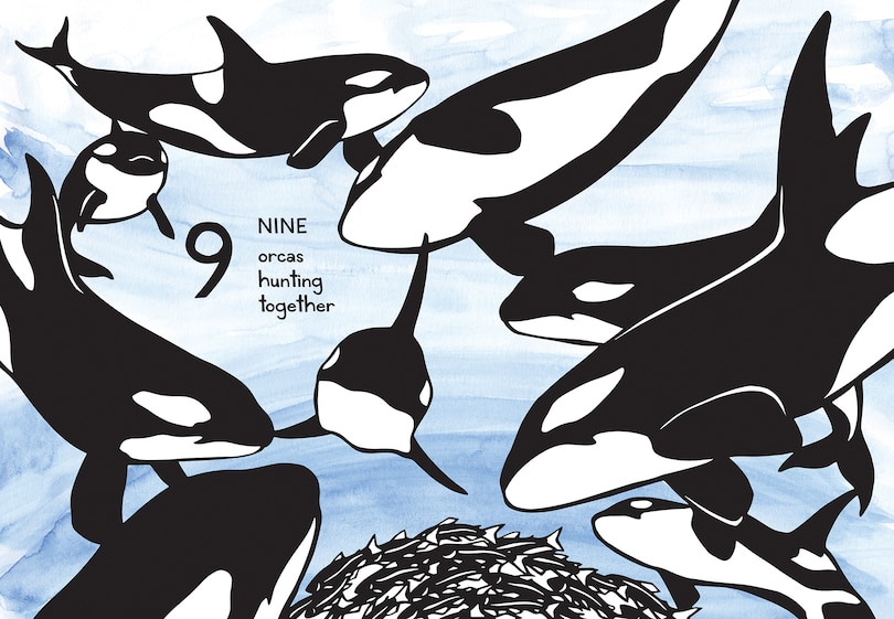 Aper&ccedil;u du contenu 3_1, 2, 3 Salish Sea