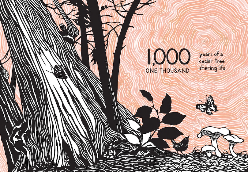 Aper&ccedil;u du contenu 4_1, 2, 3 Salish Sea