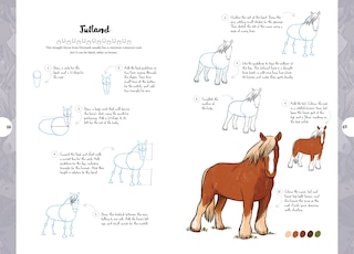 Sample content 4_10 Step Drawing: Horses & Ponies