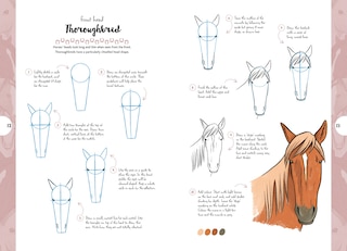 Sample content 5_10 Step Drawing: Horses & Ponies