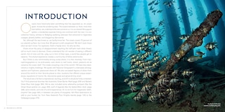 Sample content 2_100 Dives Of A Lifetime