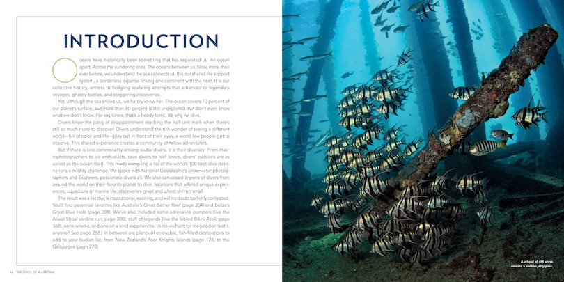 Sample content 2_100 Dives Of A Lifetime