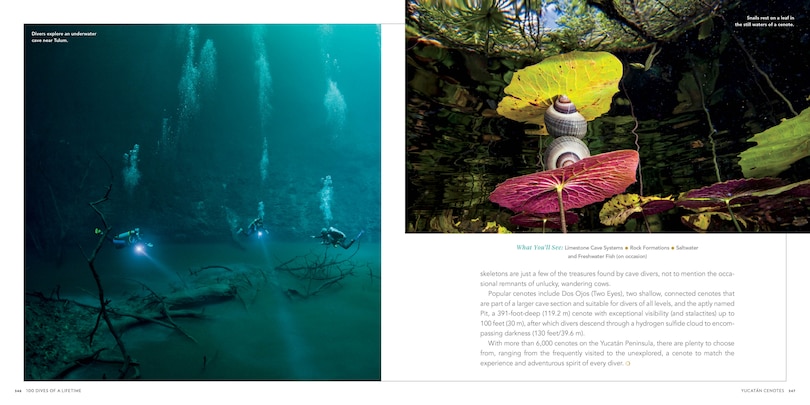 Sample content 4_100 Dives Of A Lifetime