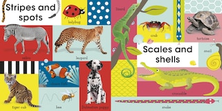 Sample content_100 First Animals