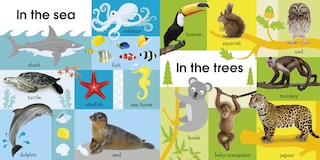 Sample content 3_100 First Animals