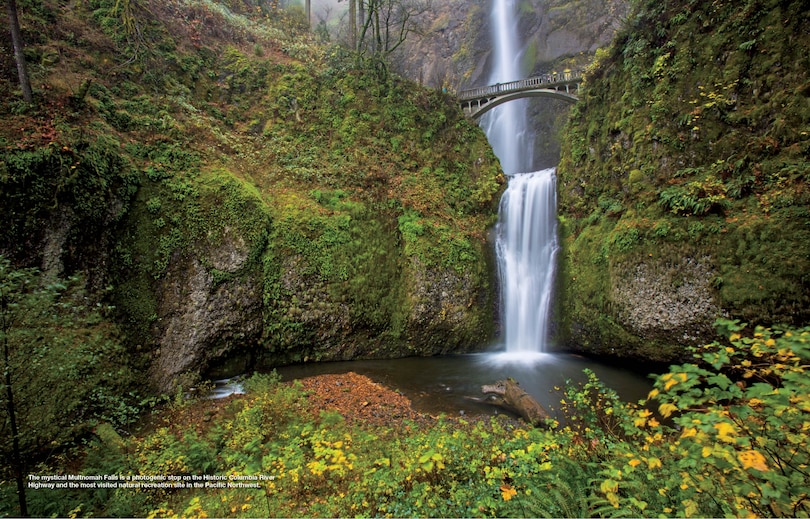 Sample content 5_100 TRAILS 5000 IDEAS