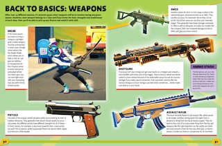 Aperçu du contenu 2_100% Unofficial Fortnite Annual 2025