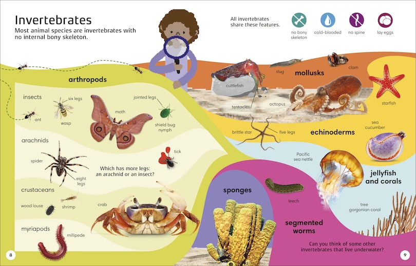 Sample content_1000 Animal Words