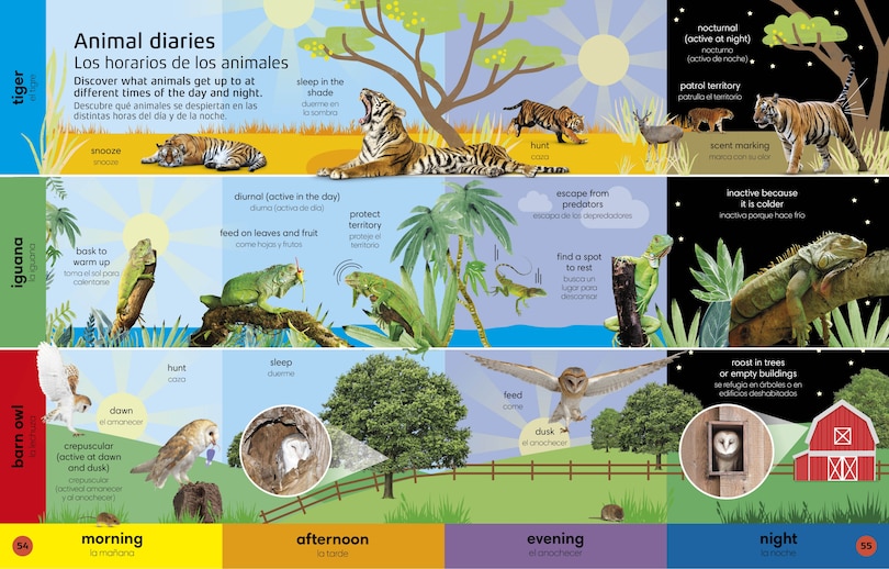 Aper&ccedil;u du contenu_1000 Bilingual Words Animals - 1000 palabras biling&uuml;es animales