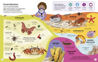 Aper&ccedil;u du contenu 3_1000 Bilingual Words Animals - 1000 palabras biling&uuml;es animales