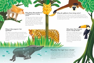 Aperçu du contenu 2_200 Q&As About Animals