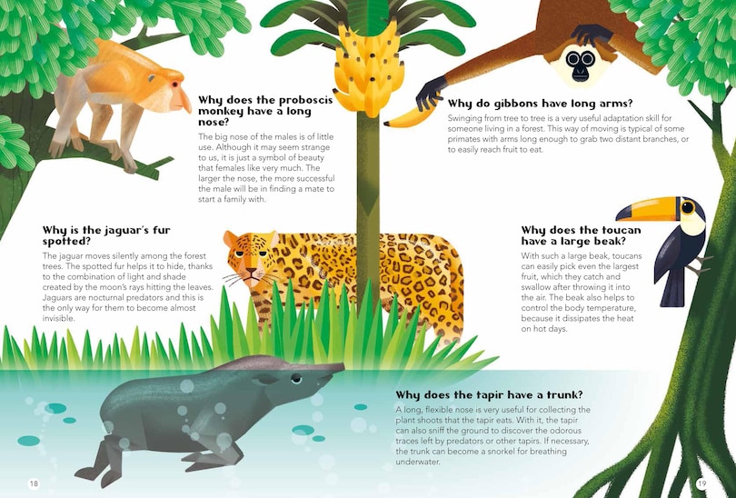 Aperçu du contenu 2_200 Q&As About Animals