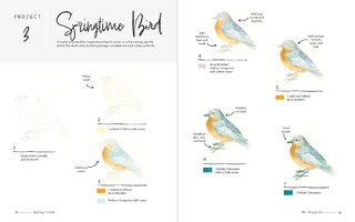 Sample content 2_3-Color Watercolor