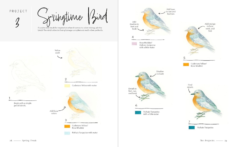 Sample content 2_3-Color Watercolor