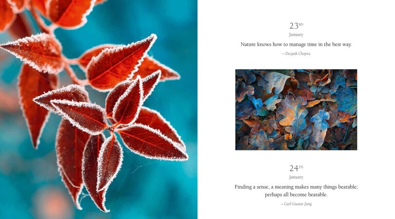 Sample content_365 Thoughts of Harmony with the Seasons