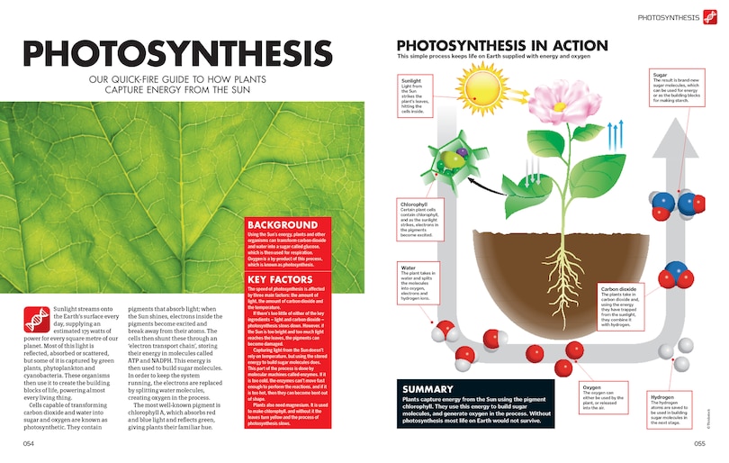 Sample content_60 Second Science