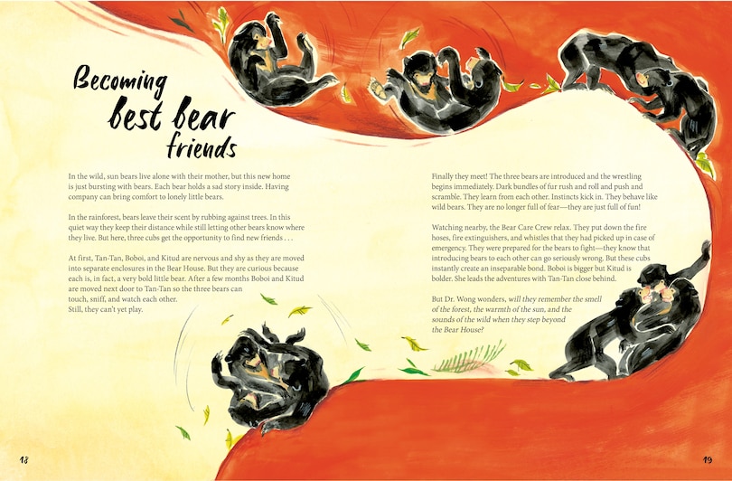 Aper&ccedil;u du contenu_A Bear Belongs