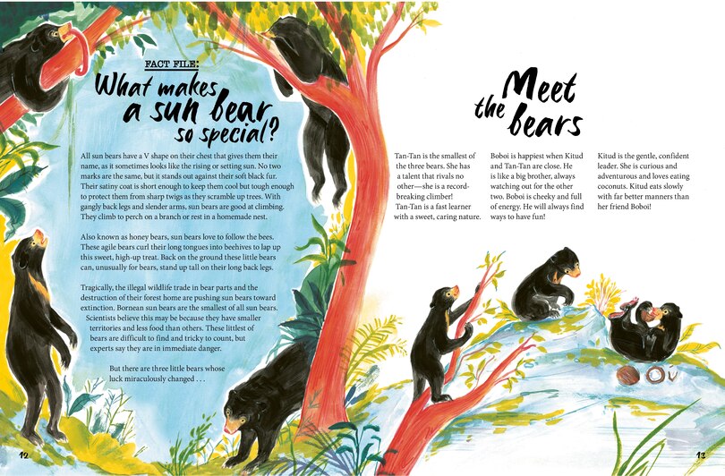 Aper&ccedil;u du contenu 2_A Bear Belongs