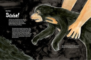 Aper&ccedil;u du contenu 4_A Bear Belongs