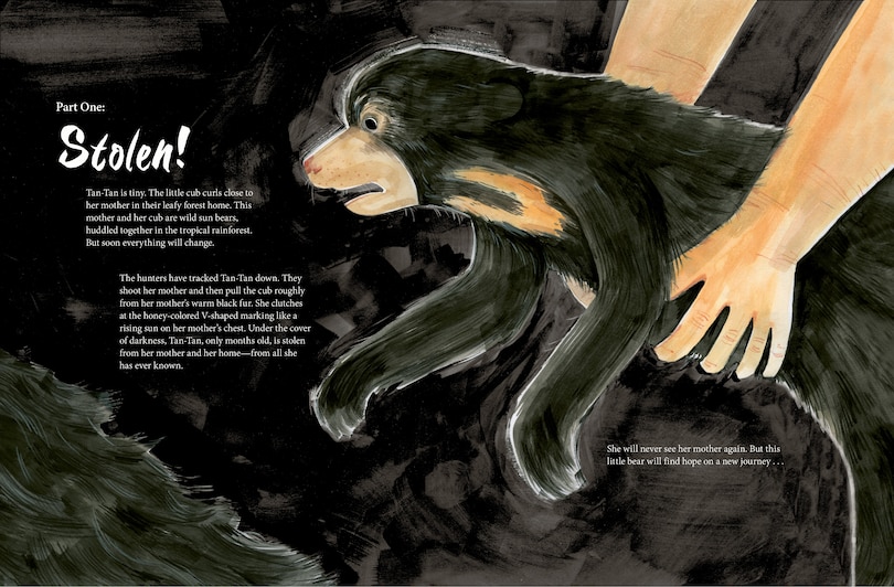 Aper&ccedil;u du contenu 4_A Bear Belongs