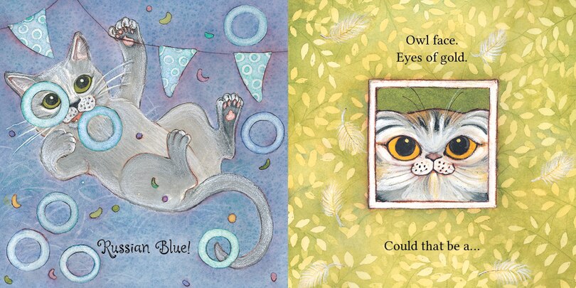 Sample content 3_A Carnival Of Cats