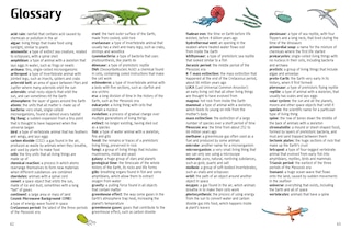 Aper&ccedil;u du contenu 4_A Comic Book History of the Big Bang and Beyond