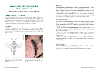 Sample content 4_A Field Guide to Insects of Australia