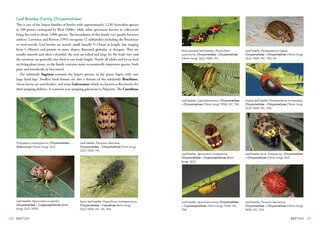 Sample content 5_A Field Guide to Insects of Australia