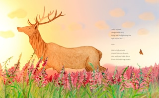 Sample content_A Forest Begins Anew