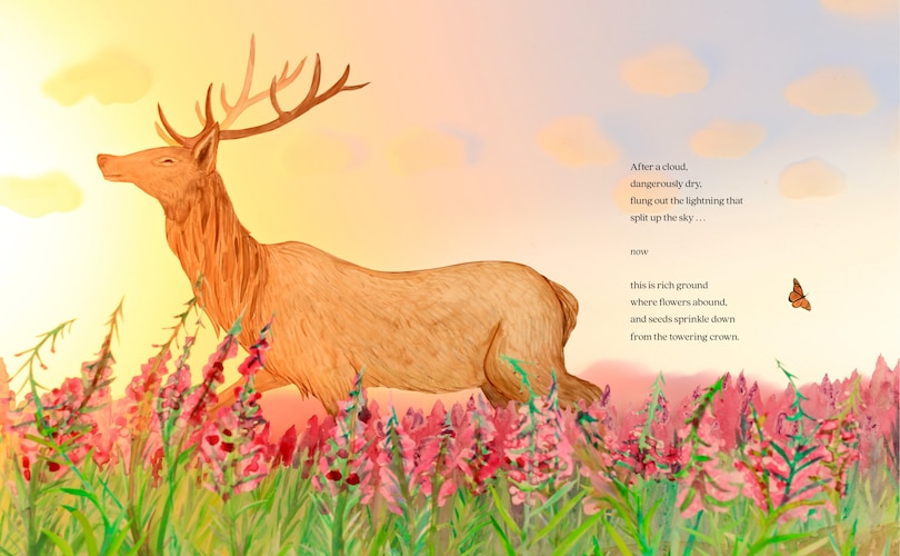 Sample content_A Forest Begins Anew