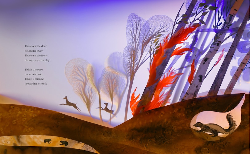 Sample content 3_A Forest Begins Anew