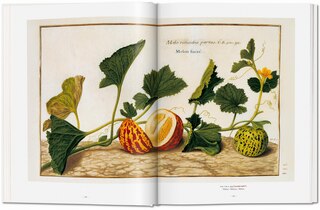 Sample content 2_A Garden Eden. Masterpieces of Botanical Illustration