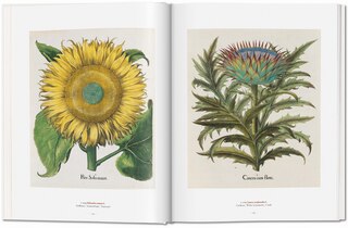 Sample content 3_A Garden Eden. Masterpieces of Botanical Illustration