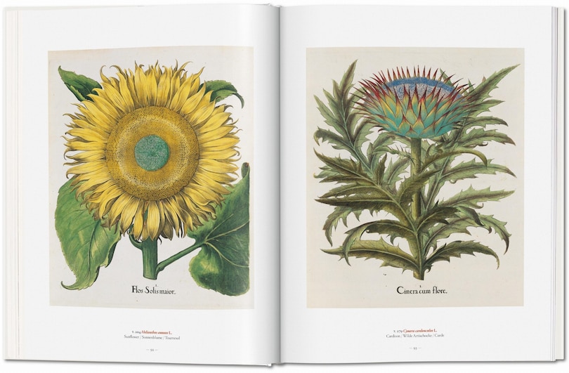 Sample content 3_A Garden Eden. Masterpieces of Botanical Illustration