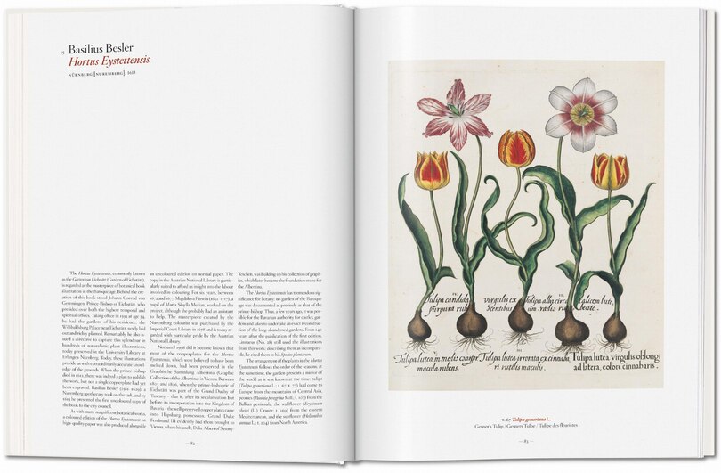 Sample content 4_A Garden Eden. Masterpieces of Botanical Illustration