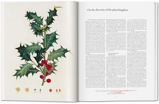 Sample content 5_A Garden Eden. Masterpieces of Botanical Illustration