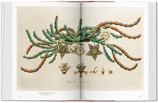 Sample content_A Garden Eden. Masterpieces of Botanical Illustration. 45th Ed.
