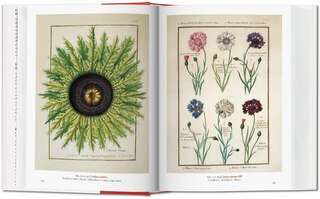 Sample content 3_A Garden Eden. Masterpieces of Botanical Illustration. 45th Ed.