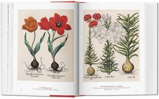 Sample content 4_A Garden Eden. Masterpieces of Botanical Illustration. 45th Ed.