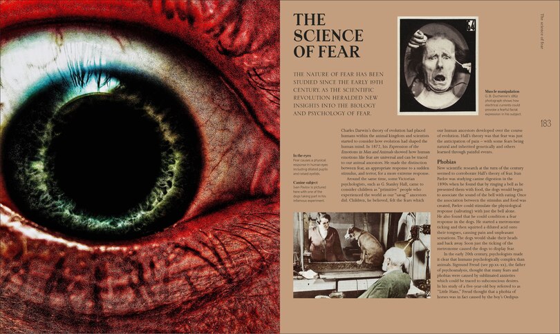 Aperçu du contenu 3_A History of Horror, Fear, and the Uncanny