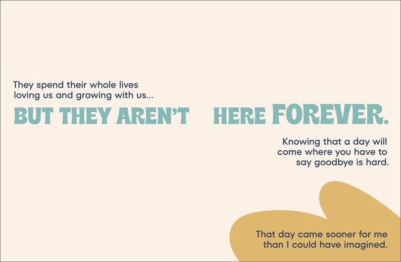 Sample content 2_A Kids Book About Pets and Love