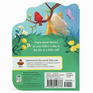 Couverture arrière_A Little Colt