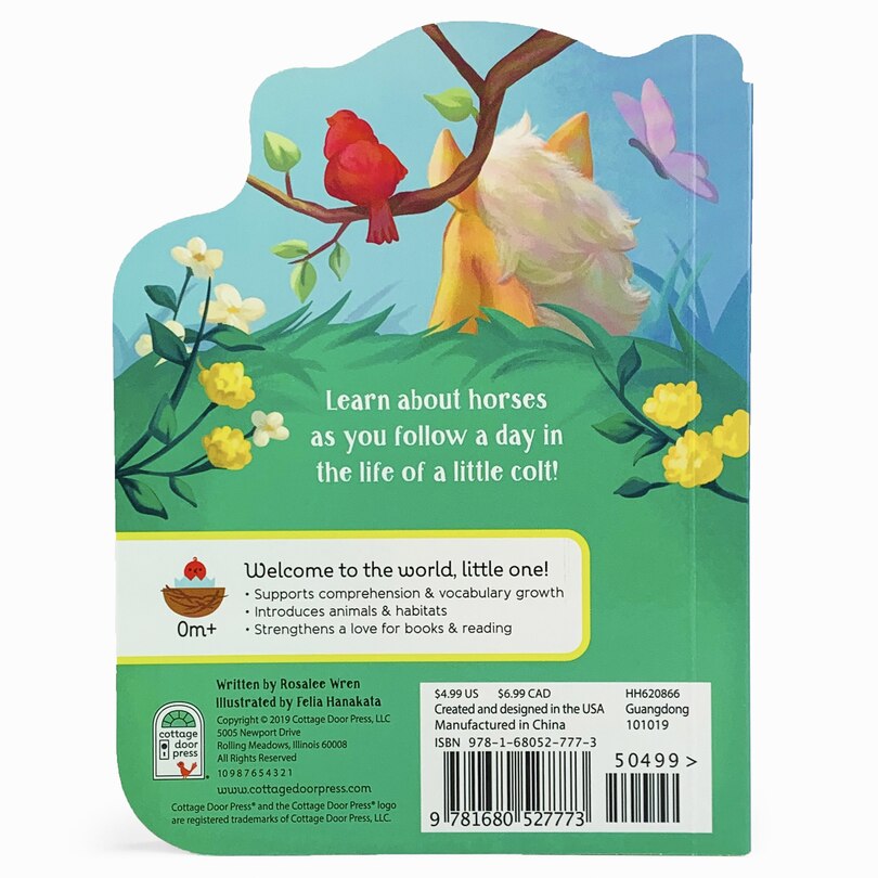 Couverture arrière_A Little Colt