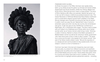 Aper&ccedil;u du contenu 2_A Little Feminist History of Art